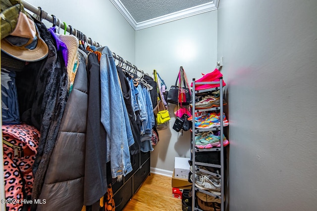 walk in closet with light wood-type flooring