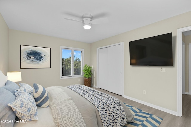 bedroom featuring ceiling fan, a closet, and wood-type flooring