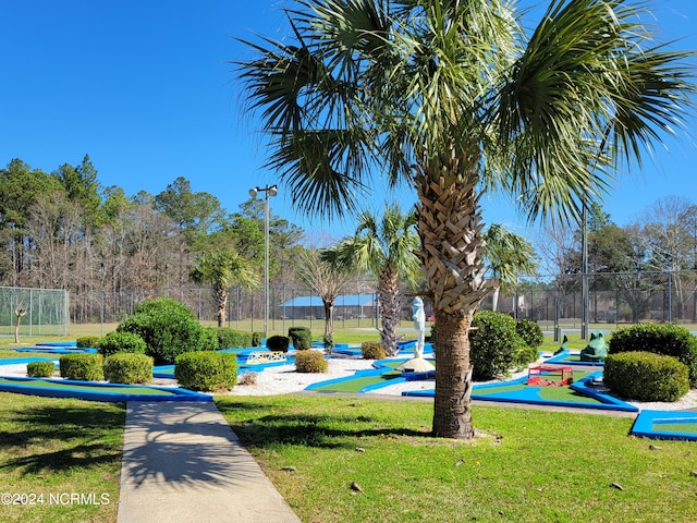 view of property's community with a yard