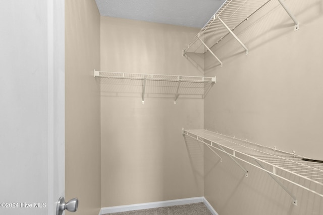 walk in closet with carpet floors