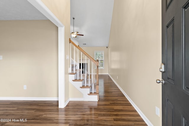 foyer with ceiling fan and dark hardwood / wood-style floors