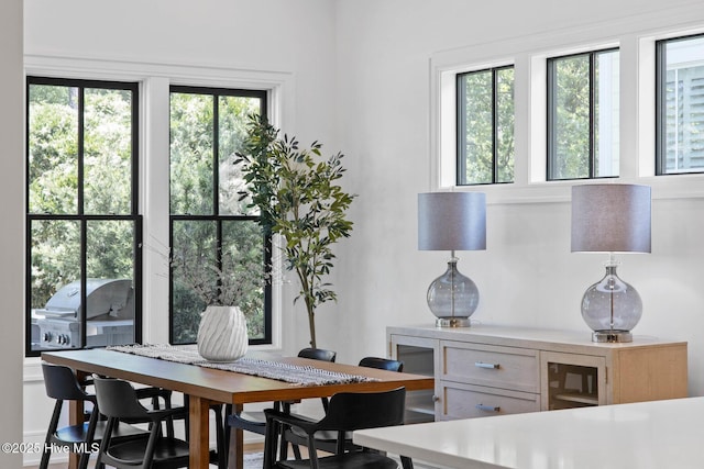 view of dining space