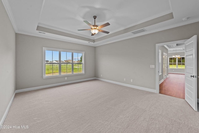 empty room with carpet, a raised ceiling, and crown molding