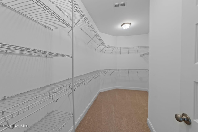 spacious closet featuring carpet floors