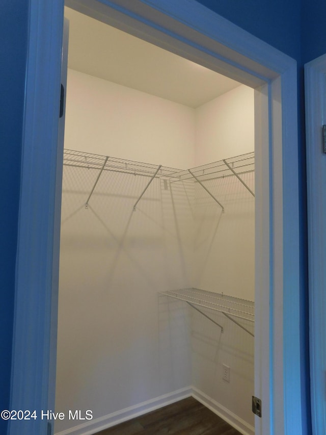 spacious closet featuring dark hardwood / wood-style floors