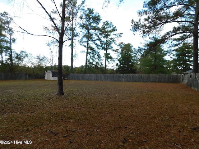 view of yard featuring a storage shed