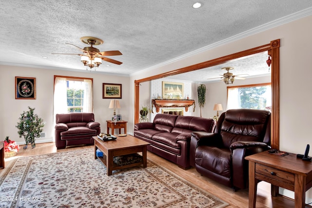 living room with a wealth of natural light, ornamental molding, a textured ceiling, and light wood-type flooring