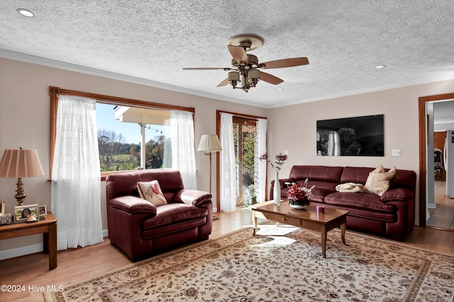 living room with ceiling fan, light hardwood / wood-style flooring, crown molding, and a textured ceiling