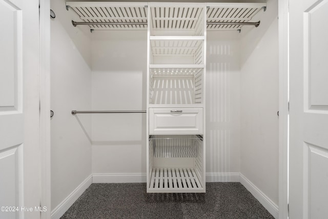 spacious closet with carpet