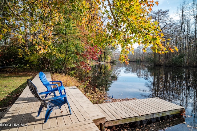 dock area featuring a water view