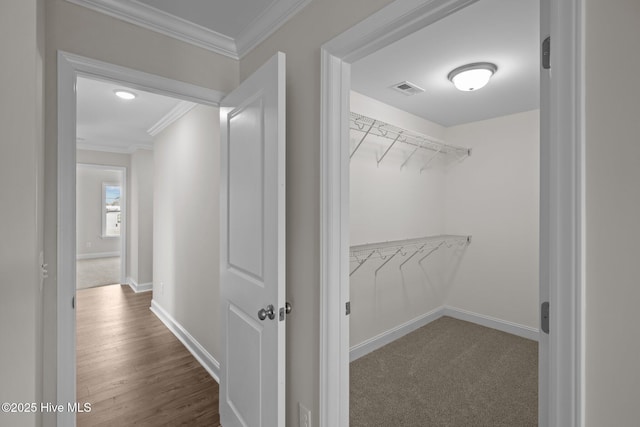 spacious closet featuring wood-type flooring