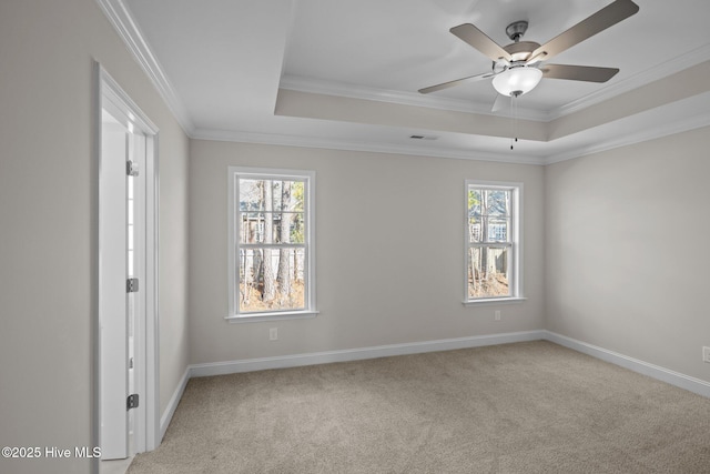 empty room featuring crown molding, a raised ceiling, and light colored carpet