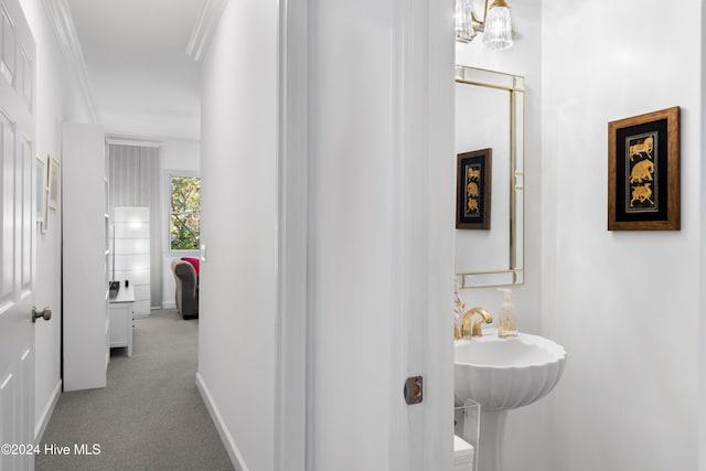 bathroom featuring sink and crown molding