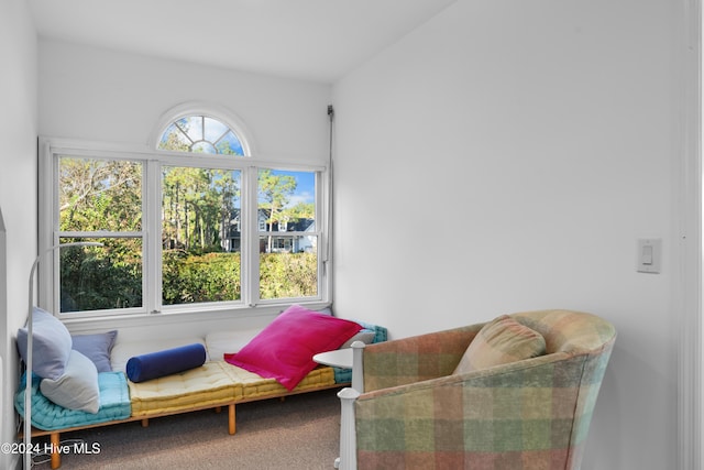 bedroom featuring dark colored carpet, ceiling fan, and vaulted ceiling with skylight