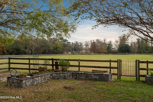 view of yard with a rural view