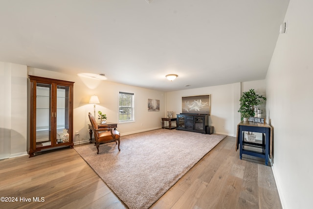 living area featuring light wood-type flooring