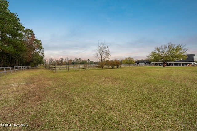 view of yard with a rural view