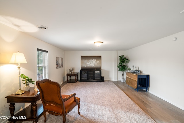 living room with hardwood / wood-style floors