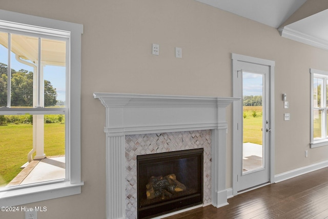 interior details with wood-type flooring and a fireplace