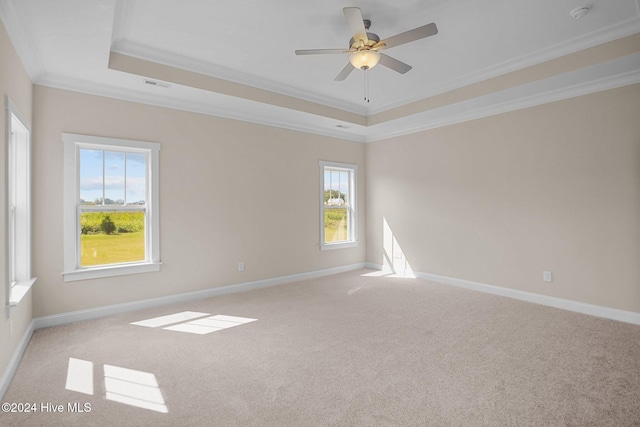 carpeted spare room featuring plenty of natural light, ornamental molding, and a raised ceiling