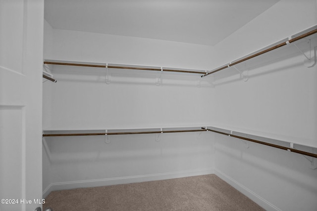 spacious closet with carpet floors