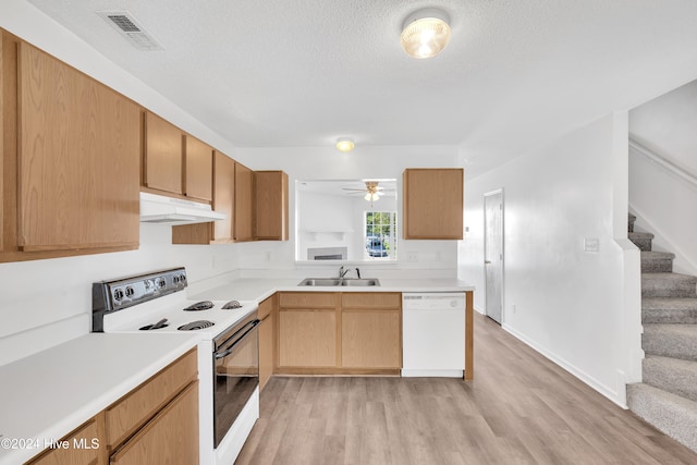 kitchen featuring ceiling fan, sink, light hardwood / wood-style floors, a textured ceiling, and white appliances