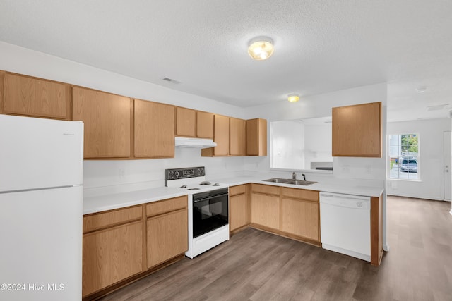 kitchen with sink, dark hardwood / wood-style flooring, a textured ceiling, white appliances, and light brown cabinetry