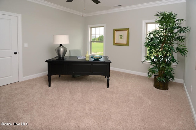 carpeted home office with ceiling fan and ornamental molding