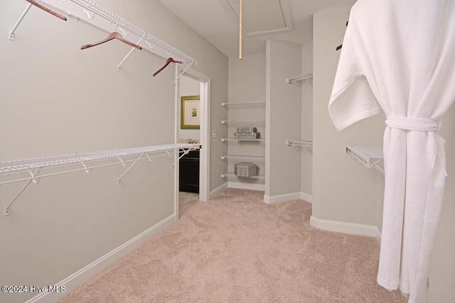 walk in closet featuring light colored carpet