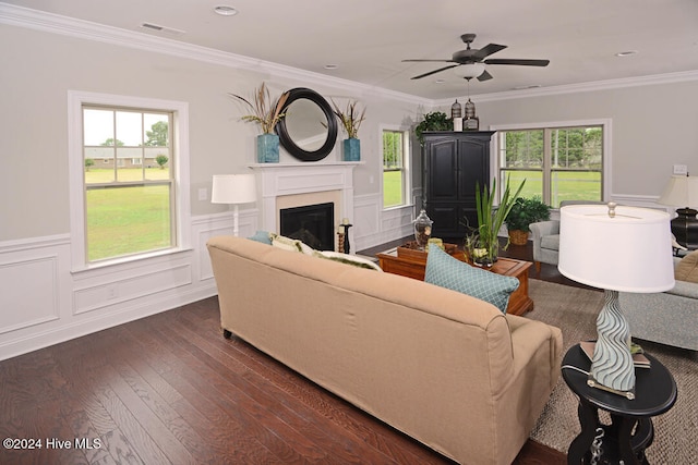 living room featuring ceiling fan, ornamental molding, and dark hardwood / wood-style floors