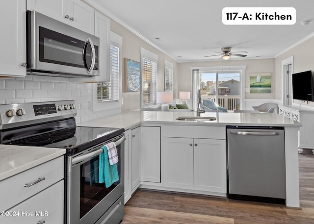 kitchen with ornamental molding, open floor plan, a peninsula, stainless steel appliances, and a sink