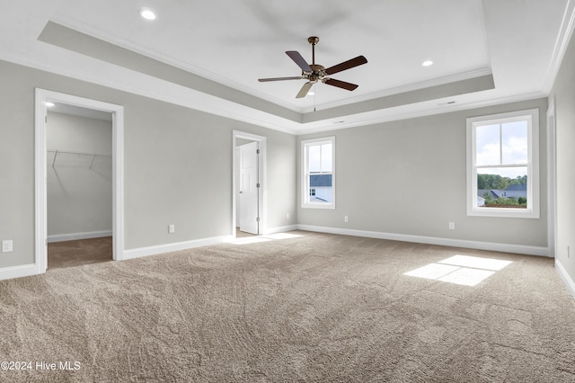 unfurnished bedroom featuring a spacious closet, ceiling fan, a raised ceiling, carpet, and ornamental molding