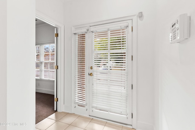 doorway with light carpet and a wealth of natural light