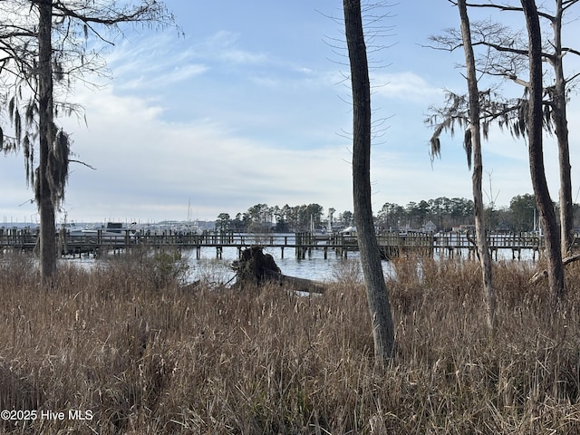 view of dock featuring a water view