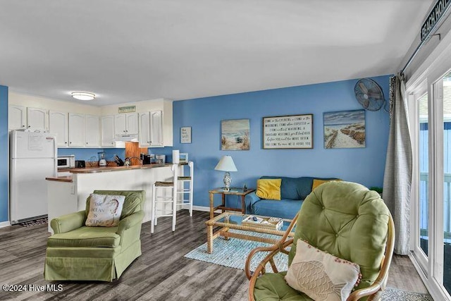 living room featuring wood-type flooring