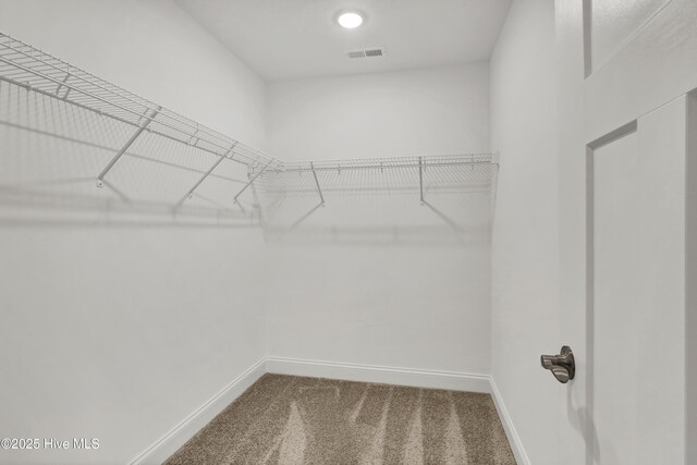 2786 Longleaf Pine Cir, Leland, NC 28451 - spacious closet with carpet floors