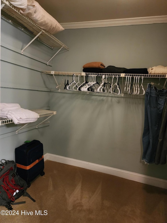 walk in closet with carpet floors