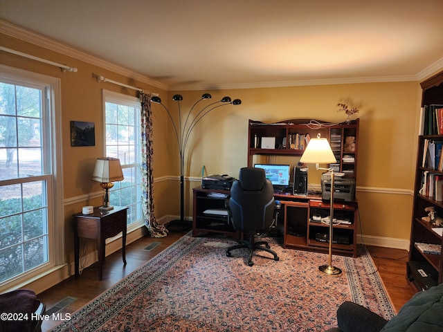 office space featuring dark hardwood / wood-style floors and crown molding