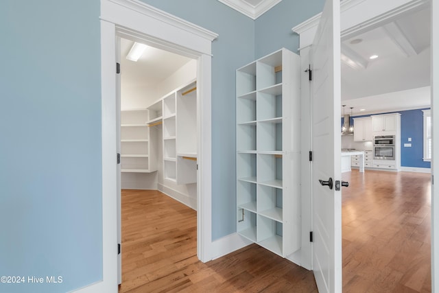 spacious closet with light wood-style flooring