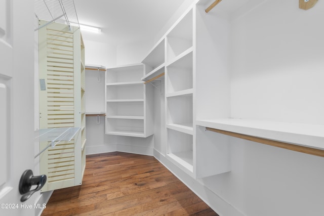 walk in closet with dark wood finished floors