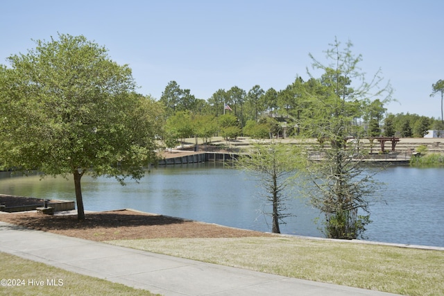 view of water feature