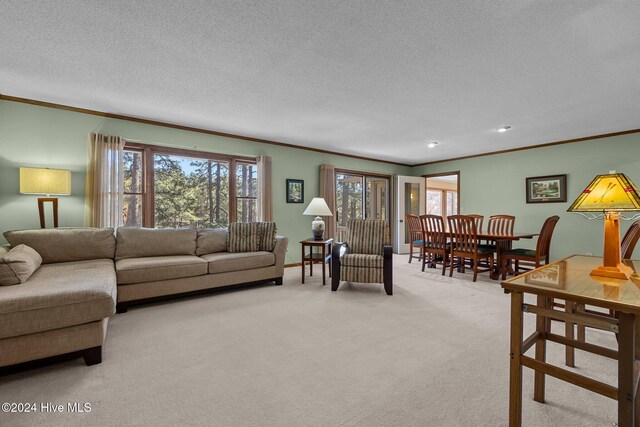 carpeted living room featuring a textured ceiling and ornamental molding