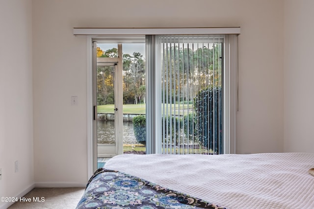 bedroom with carpet floors and access to outside