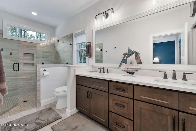 bathroom featuring toilet, vanity, and walk in shower