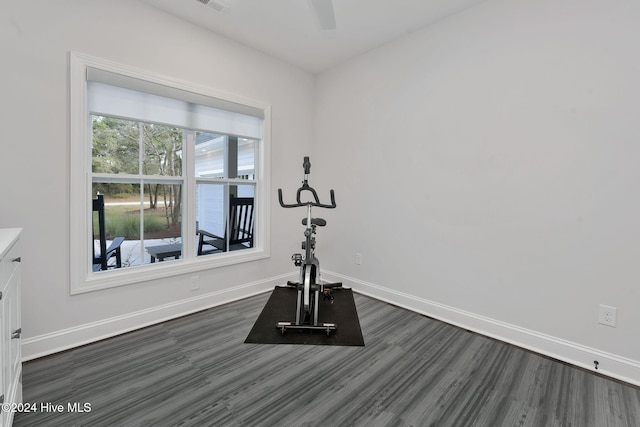 workout area featuring dark hardwood / wood-style floors