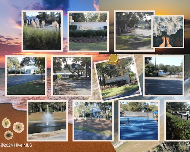 3314 Four Water Ln SW, Supply, NC 28462 - view of a document with multiple images