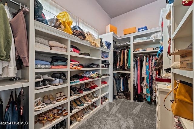 walk in closet featuring carpet floors