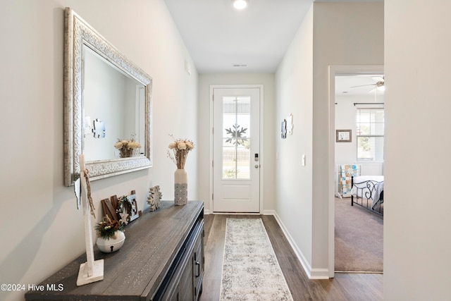 entryway with dark hardwood / wood-style flooring