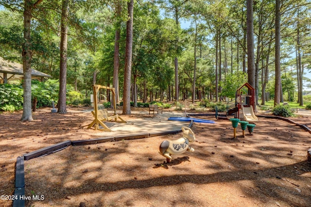 view of jungle gym