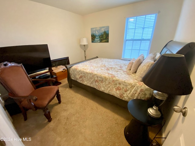 bedroom with carpet flooring